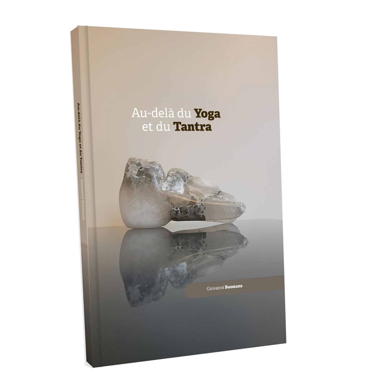 Au-delà du Yoga et du Tantra